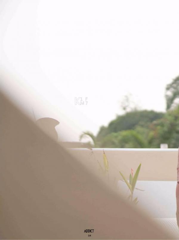 Addict--The-Premium-Issue